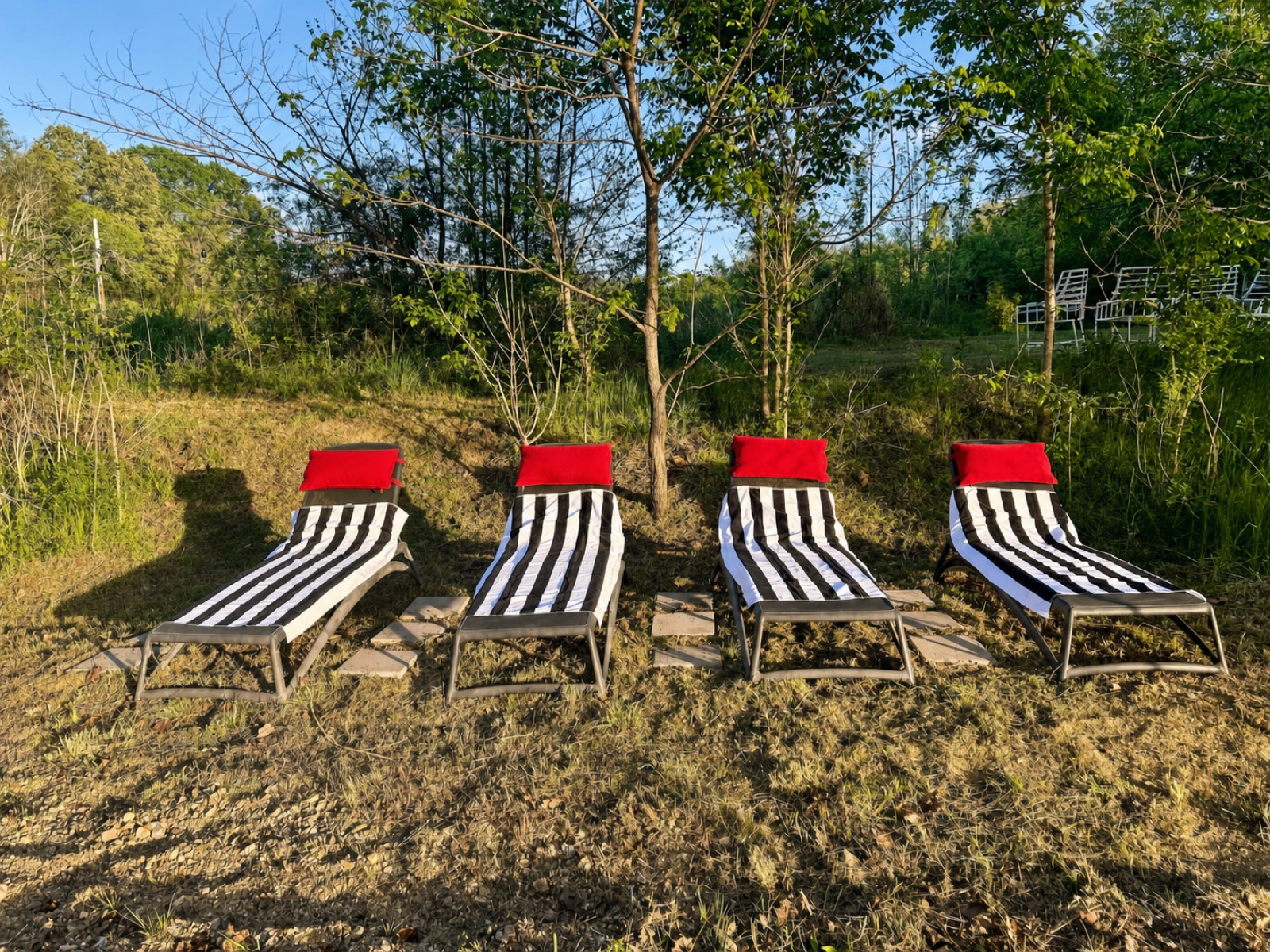 Creekside loungers